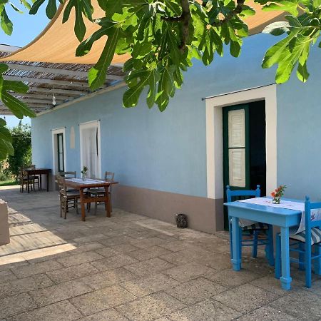 Le Cernicole Villa Melissano ภายนอก รูปภาพ