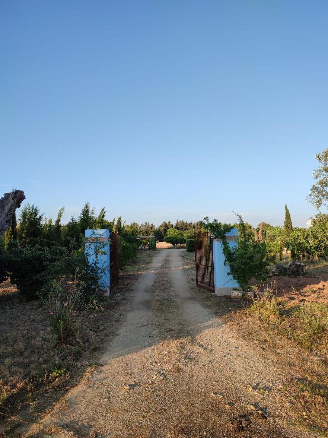 Le Cernicole Villa Melissano ภายนอก รูปภาพ