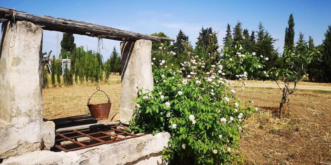 Le Cernicole Villa Melissano ภายนอก รูปภาพ