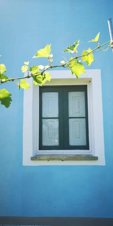 Le Cernicole Villa Melissano ภายนอก รูปภาพ